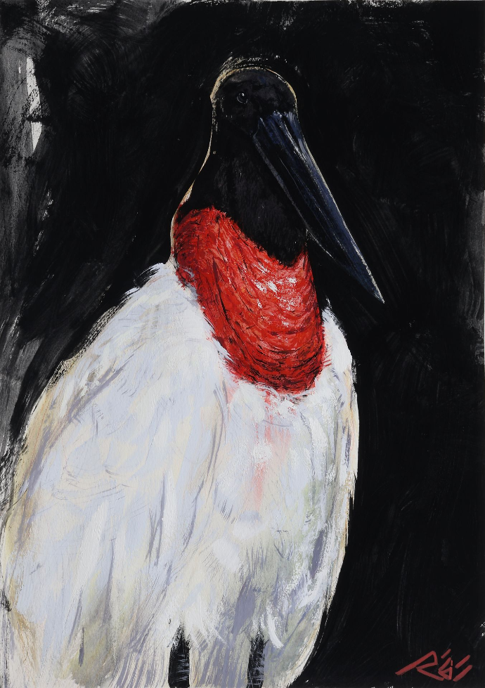 tuiuiu— goauche — Régis Souto