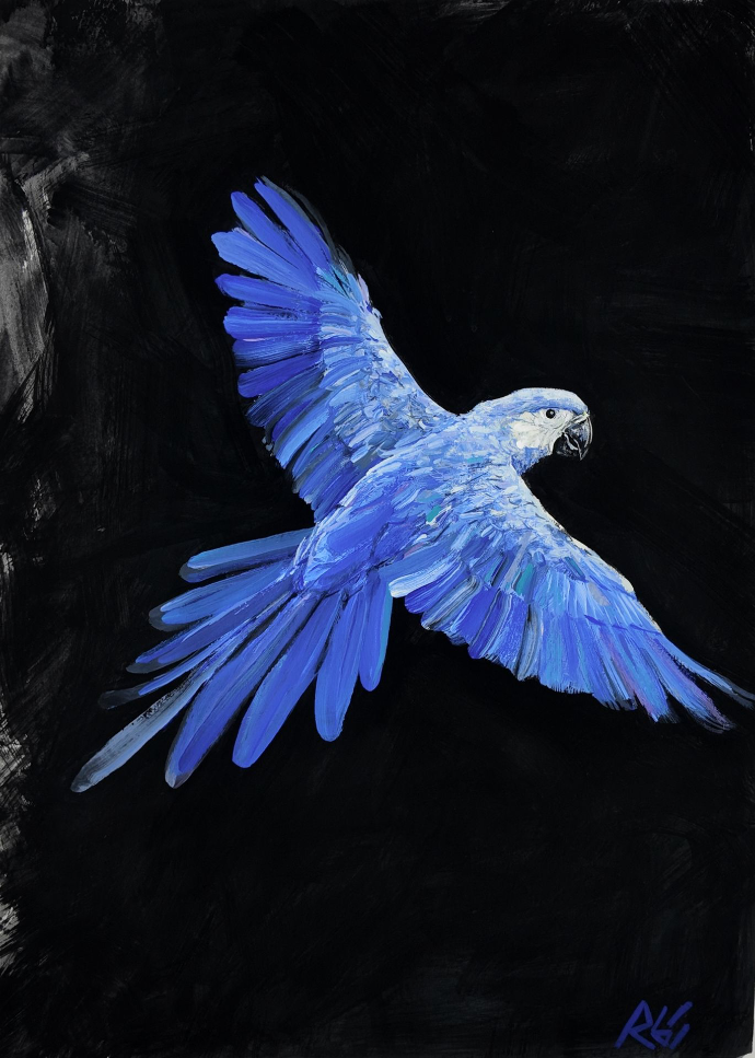 blue bird — goauche — Régis Souto