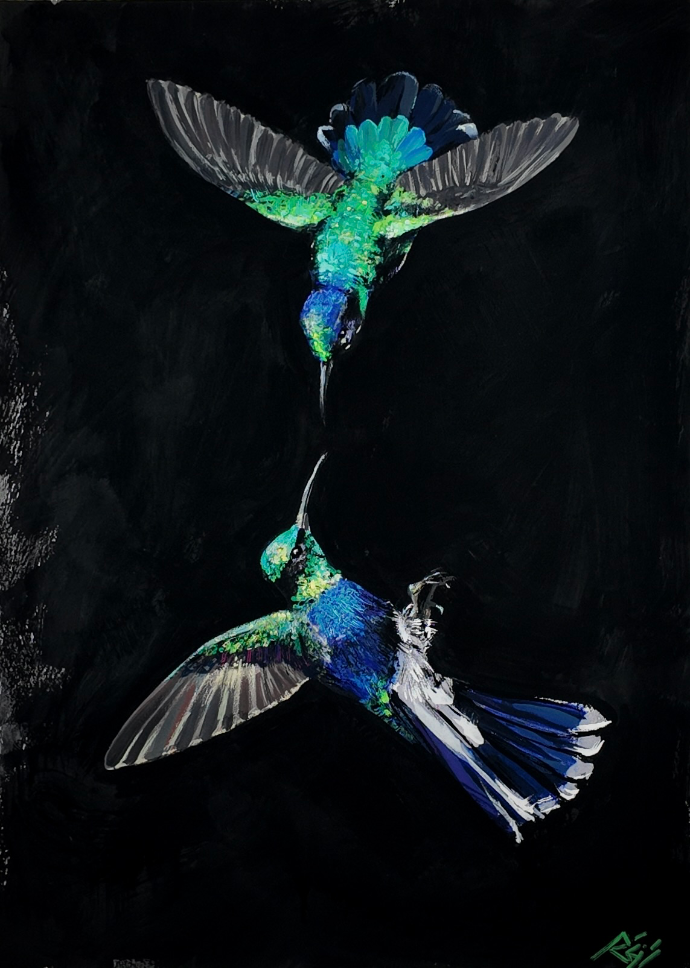 Hummingbird on black — goauche — Régis Souto