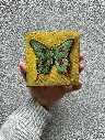 rs-24-mn-009_green-butterfly_5x5_web-02.webp