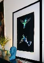 rs-26-bc-005_hummingbirds_18x24_expo-01.webp