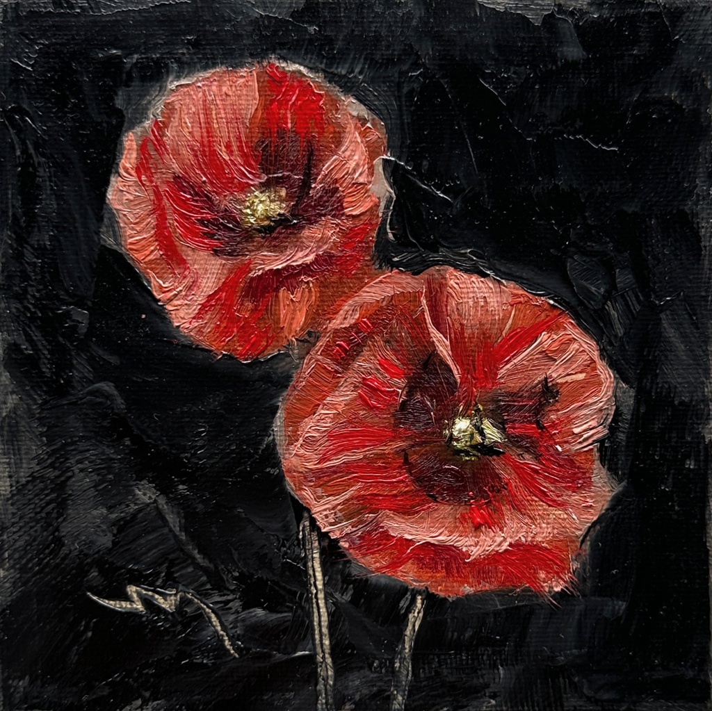 [RS-24-MN-015] Poppies