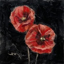 Poppies