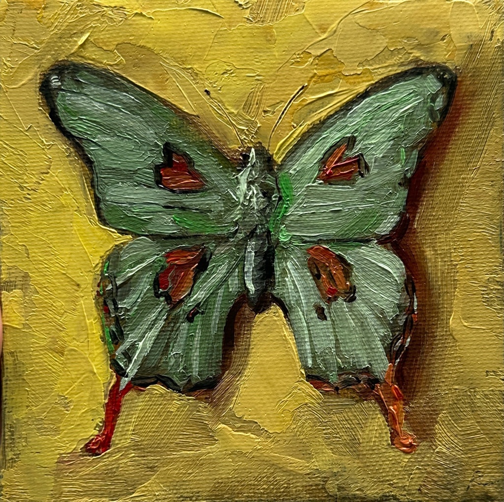 [RS-24-MN-009] Green Butterfly