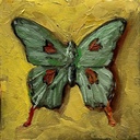 Green Butterfly