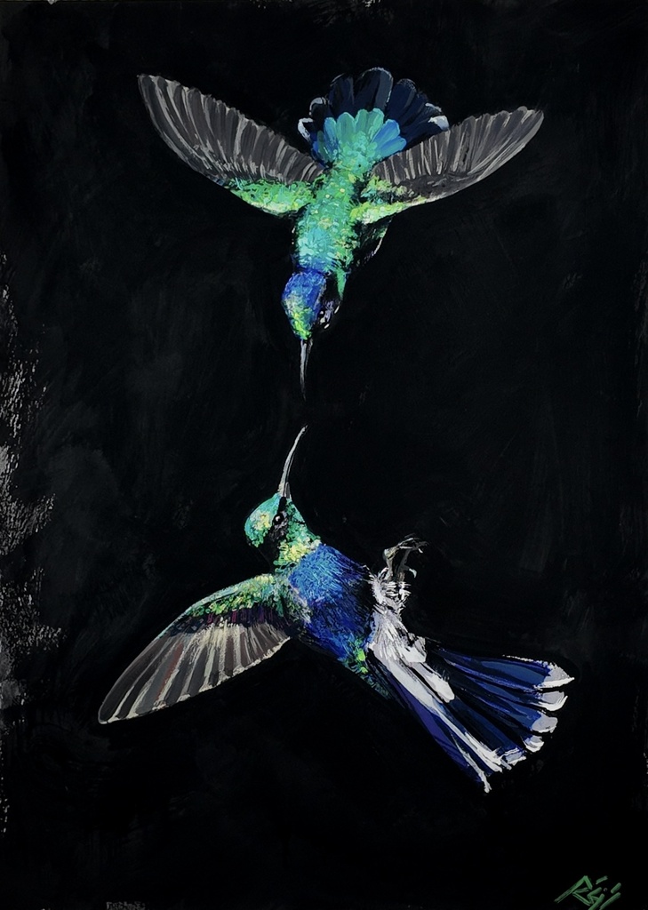 [RS-26-BC-005] Hummingbirds