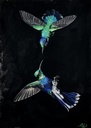 Hummingbirds